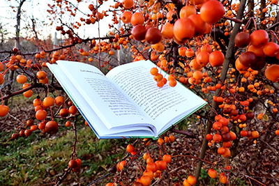 Rozstrzygnięcie konkursu „Rodzinne (za)czytanie jesienią”