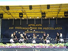 Zespoły Taneczne 2011/2012