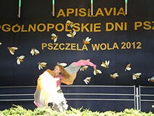 Zespoły Taneczne 2011/2012