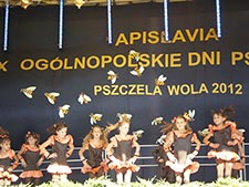 Zespoły Taneczne 2011/2012