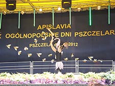 Zespoły Taneczne 2011/2012