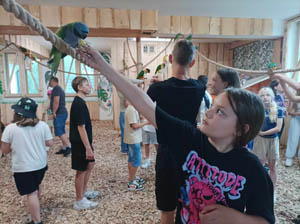 Kolonie letnie w Górach „Sport & Fun” – organizatorem INICJATYWA