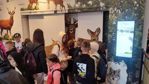 Kolonie letnie w Górach „Sport & Fun” – organizatorem INICJATYWA