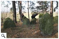 Warsztaty terenowe - Egzotyczne Podlasie