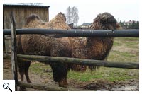 Wycieczka edukacyjna Leonów - Kozłówka