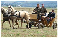 Zespół Szkół w Cycowie (Cyców)