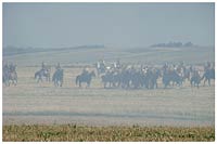 Zespół Szkół w Cycowie (Cyców)