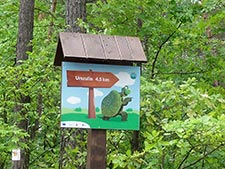 Rajd Żółwik