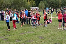 Cztery drużyny Zespołu Szkół w Cycowie w Finale Wojewódzkim Sztafetowych Biegów Przełajowych