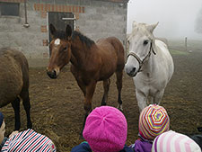 Zespół Szkół w Cycowie (Cyców)