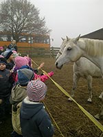 Zespół Szkół w Cycowie (Cyców)