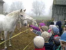 Zespół Szkół w Cycowie (Cyców)