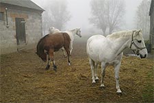 Zespół Szkół w Cycowie (Cyców)