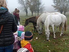 Zespół Szkół w Cycowie (Cyców)