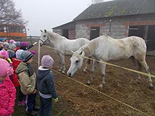 Zespół Szkół w Cycowie (Cyców)