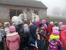 Zespół Szkół w Cycowie (Cyców)