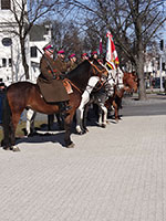 Ułańskie Święto w Mińsku Mazowieckim