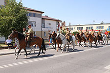 95. Rocznica Bitwy pod Cycowem