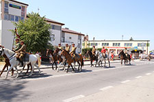 95. Rocznica Bitwy pod Cycowem