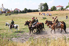 95. Rocznica Bitwy pod Cycowem