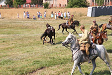 95. Rocznica Bitwy pod Cycowem