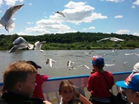 Zwiedzamy Lubelszczyznę – Janowiec i Kazimierz Dolny