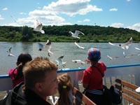 Zwiedzamy Lubelszczyznę – Janowiec i Kazimierz Dolny