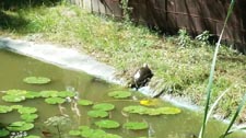 Półkolonie letnie w Zespole Szkół w Cycowie