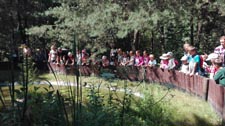 Półkolonie letnie w Zespole Szkół w Cycowie