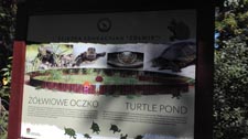 Półkolonie letnie w Zespole Szkół w Cycowie
