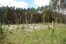 XLIV Rajd Pieszy „Ślimaków”