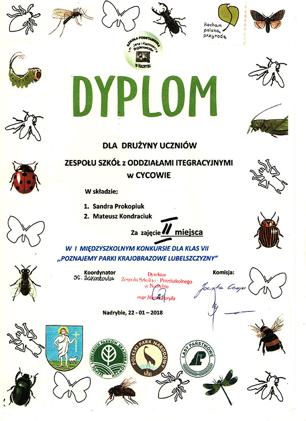 dyplom