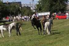 Uroczystości z okazji 98. rocznicy bitwy pod Cycowem