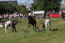 Uroczystości z okazji 98. rocznicy bitwy pod Cycowem