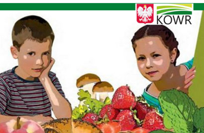 Sukces w grupie „Zajączki” w konkursie „Eko produkty na moim stole”