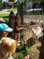 Wycieczka do Małego ZOO w Turce