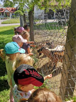 Wycieczka do Małego ZOO w Turce