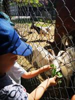 Wycieczka do Małego ZOO w Turce