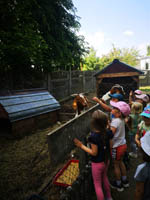 Wycieczka do Małego ZOO w Turce