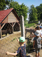 Wycieczka do Małego ZOO w Turce