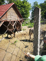 Wycieczka do Małego ZOO w Turce