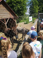 Wycieczka do Małego ZOO w Turce