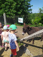 Wycieczka do Małego ZOO w Turce