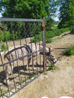 Wycieczka do Małego ZOO w Turce