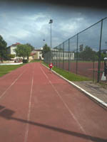 Sprintem do maratonu