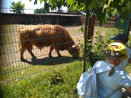 Wycieczka Mini Zoo w Wojciechowie – 6-latki