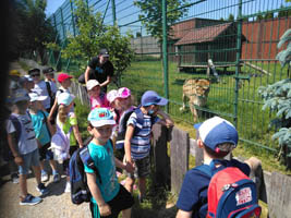 Wycieczka Mini Zoo w Wojciechowie – 6-latki