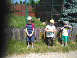 Wycieczka Mini Zoo w Wojciechowie – 6-latki