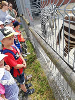 Wycieczka dzieci pięcioletnich do ZOO w Zamościu