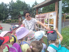 Wycieczka dzieci pięcioletnich do ZOO w Zamościu